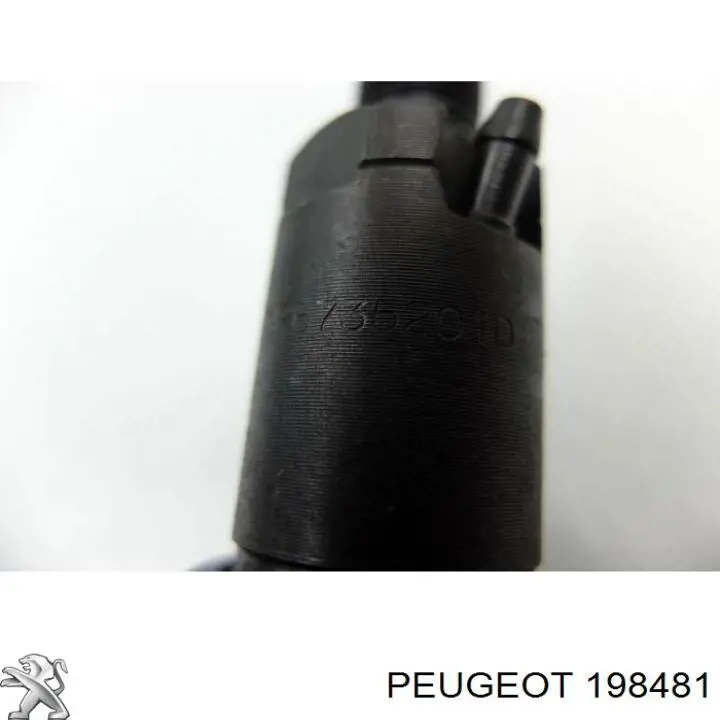 96134546 Peugeot/Citroen pulverizador inyector