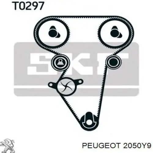 2050Y9 Peugeot/Citroen kit de embrague (3 partes)