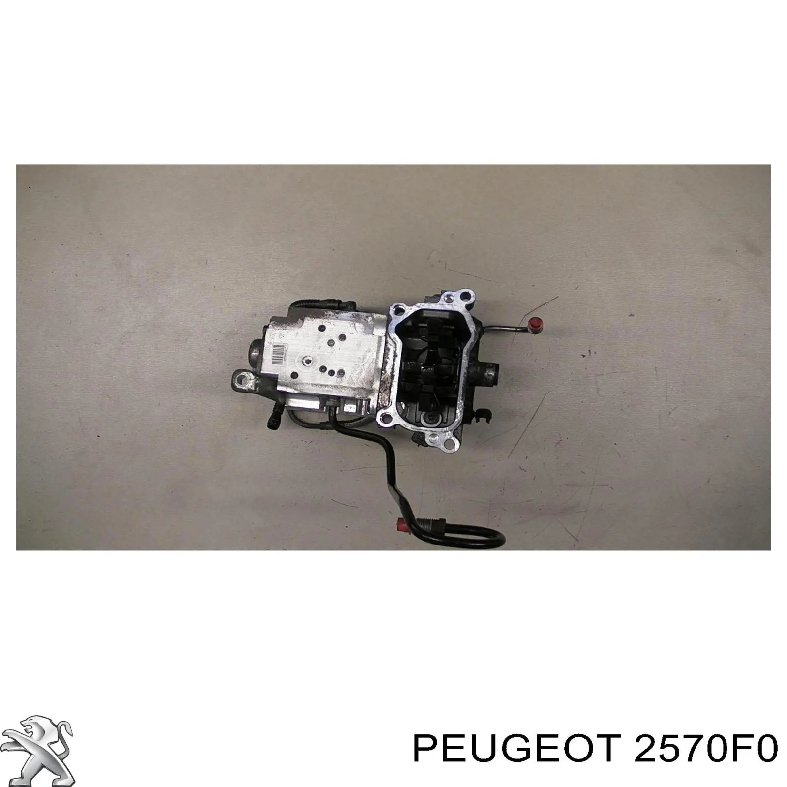 2570F0 Peugeot/Citroen 