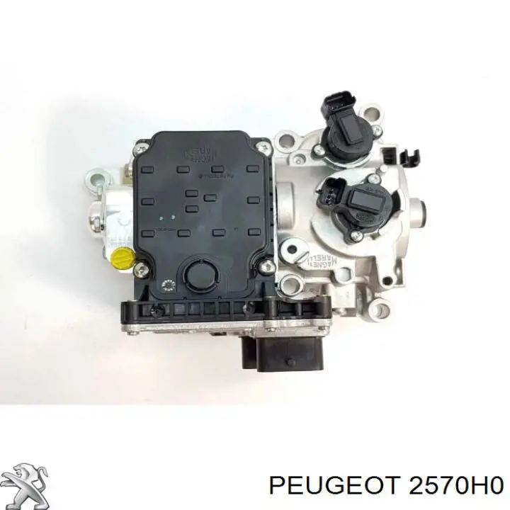 2570H0 Peugeot/Citroen 