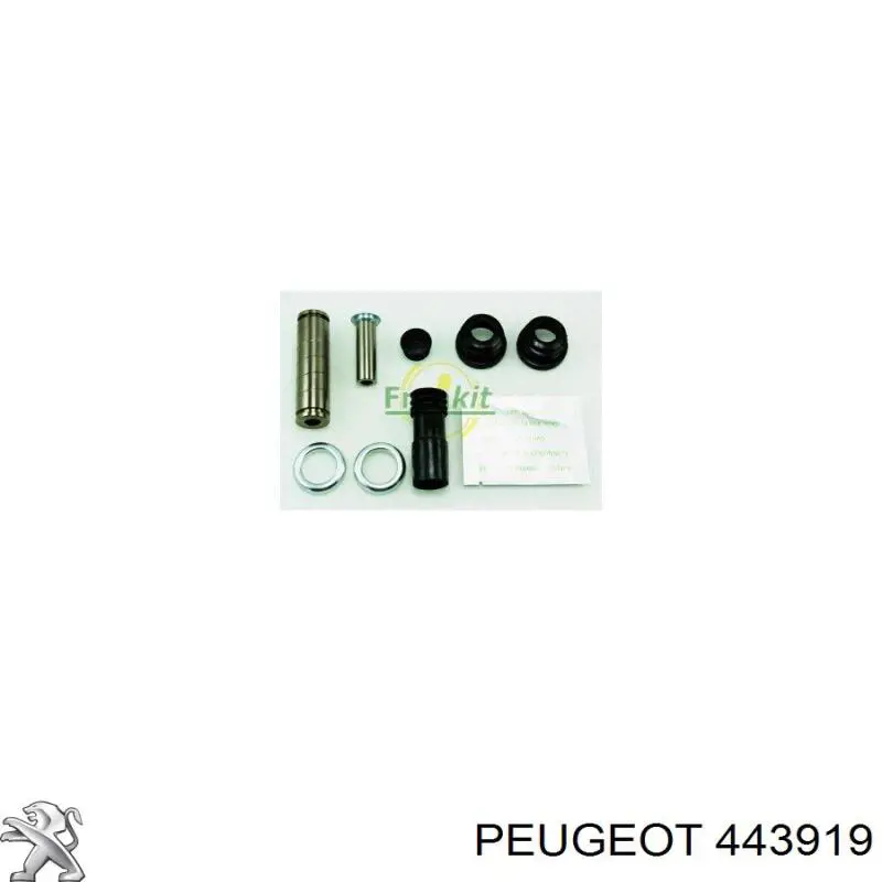 443919 Peugeot/Citroen pasador guía, pinza del freno trasera