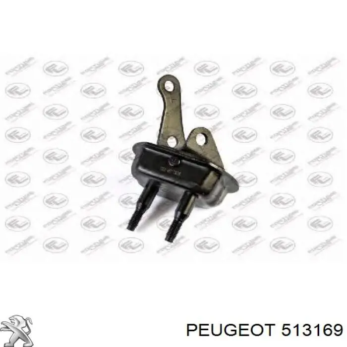 513169 Peugeot/Citroen cojin de viga trasera