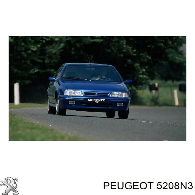 5208N3 Peugeot/Citroen 