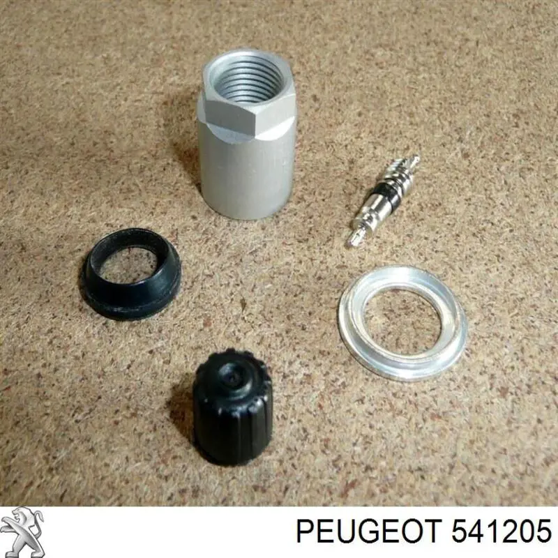  Montaje sensor de neumaticos para Peugeot 307 3A, 3C