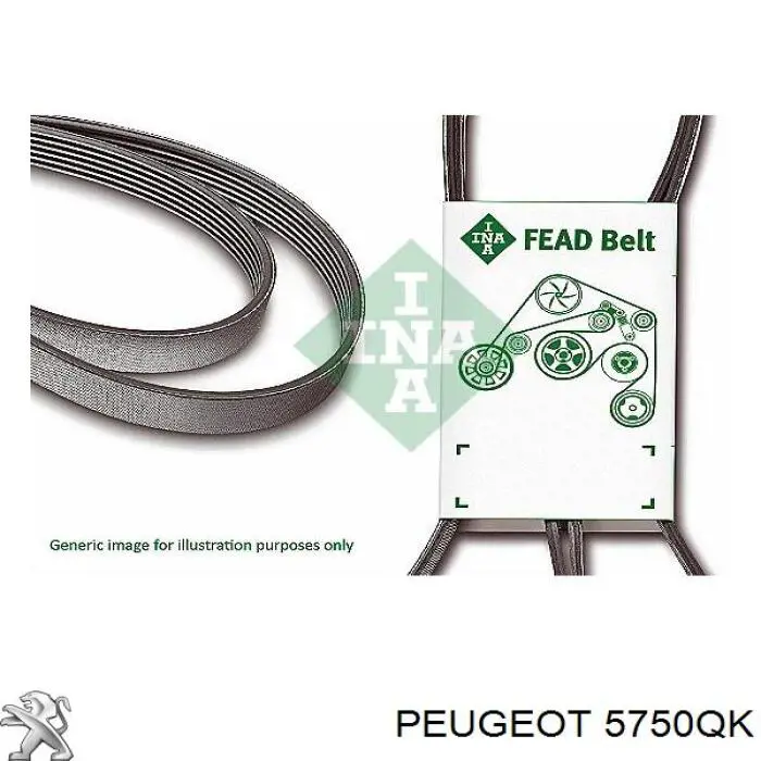 5750QK Peugeot/Citroen correa trapezoidal