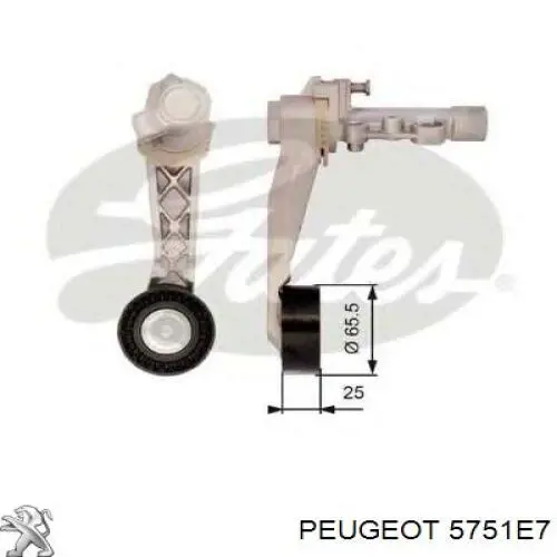 5751E7 Peugeot/Citroen tensor de correa, correa poli v