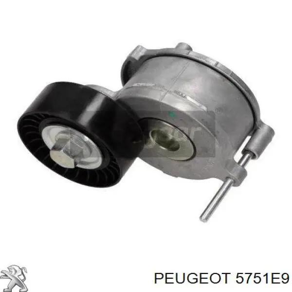 9656363380 Peugeot/Citroen tensor de correa, correa poli v