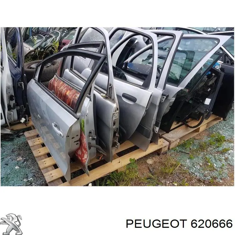 620666 Peugeot/Citroen 