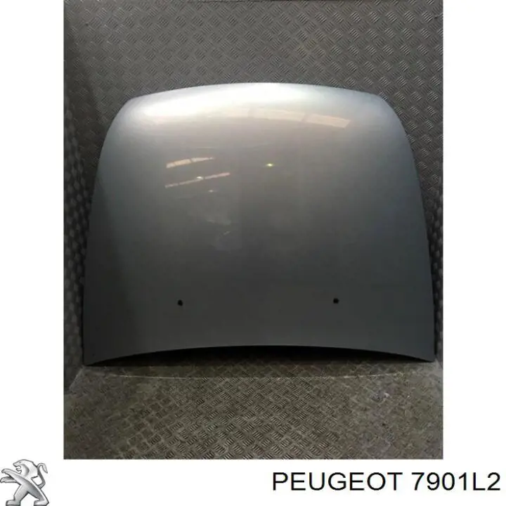  Capó del motor para Peugeot 607 9D, 9U