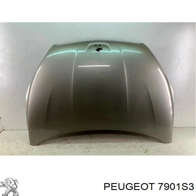  Capó del motor para Peugeot 508 