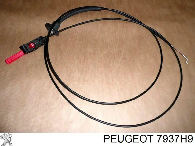  Cable de apertura de capó del motor para Citroen C8 EA, EB