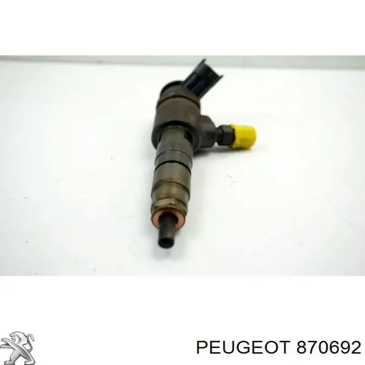 870692 Peugeot/Citroen inyector de combustible