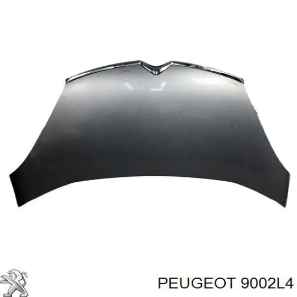  Puerta delantera izquierda para Peugeot 806 221