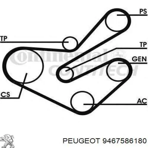 9467586180 Peugeot/Citroen polea, cigüeñal