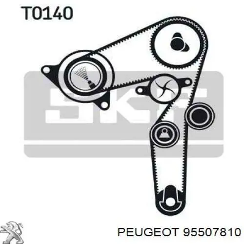 95507810 Peugeot/Citroen kit correa de distribución