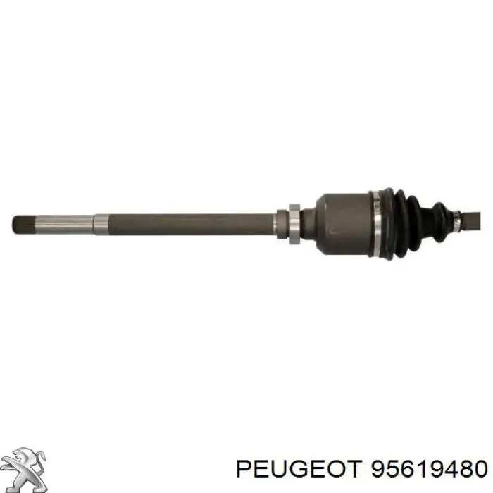 95619480 Peugeot/Citroen árbol de transmisión delantero derecho