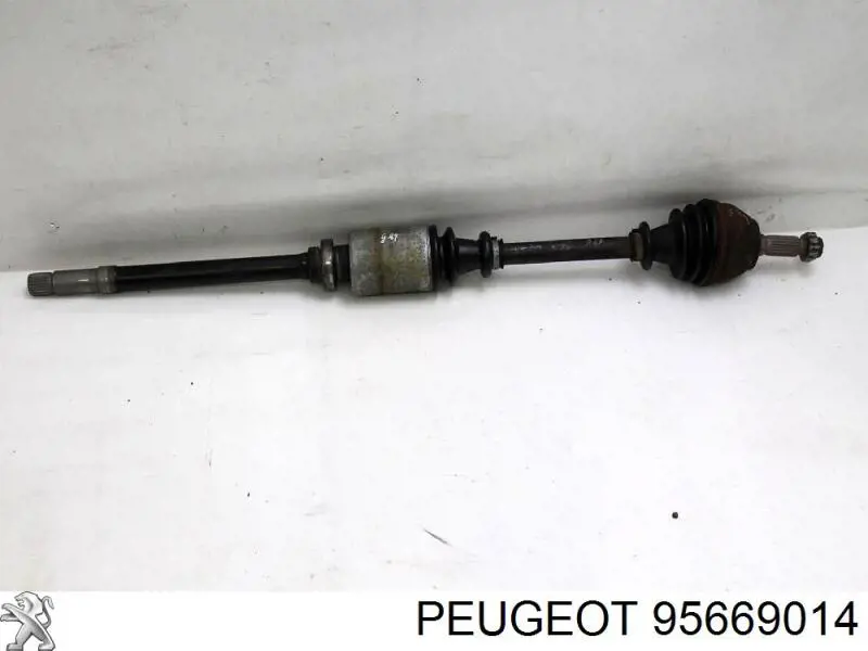 95669014 Peugeot/Citroen árbol de transmisión delantero derecho