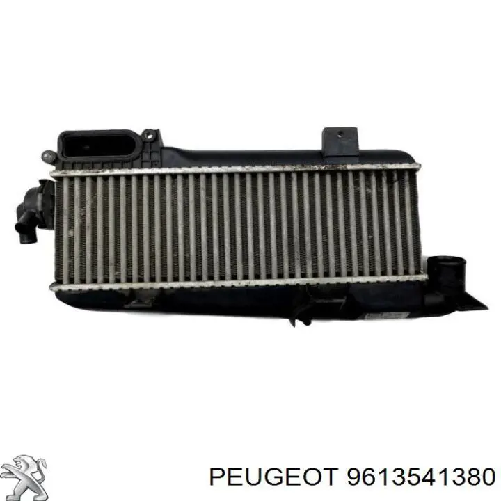 9613541380 Peugeot/Citroen radiador de aire de admisión