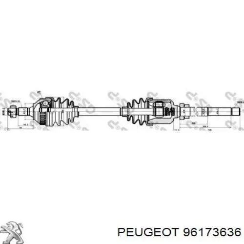 96173636 Peugeot/Citroen árbol de transmisión delantero derecho