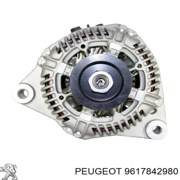 9617842980 Peugeot/Citroen alternador