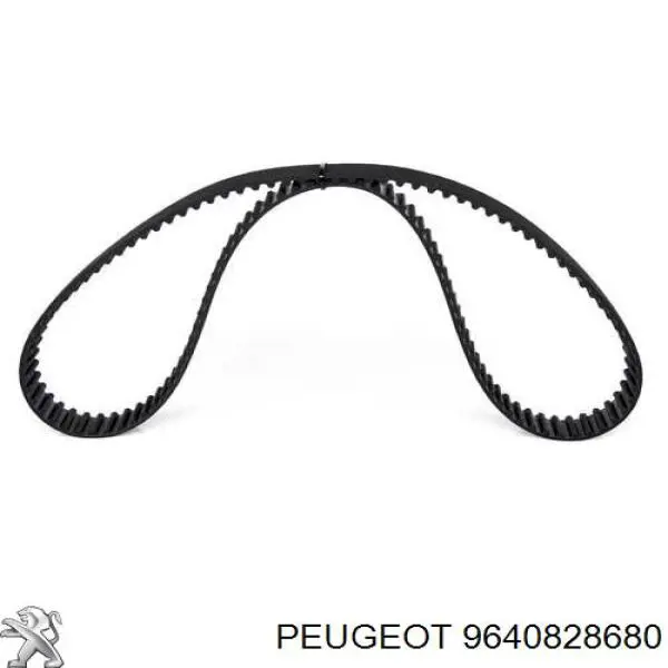 9640828680 Peugeot/Citroen correa distribucion