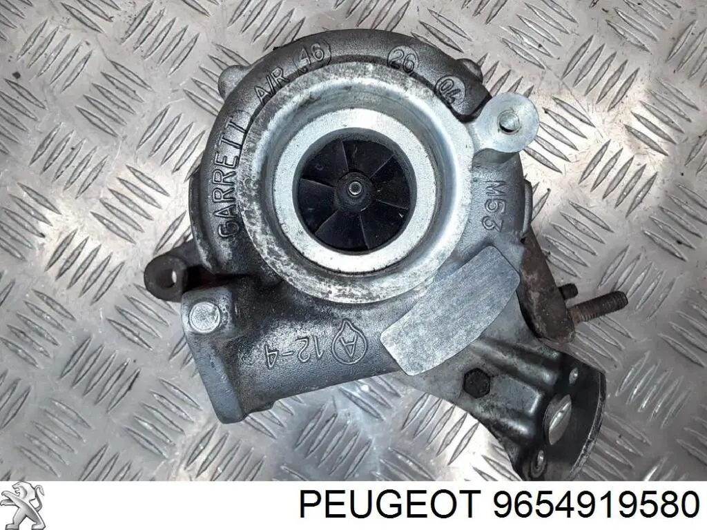 9654919580 Peugeot/Citroen turbocompresor