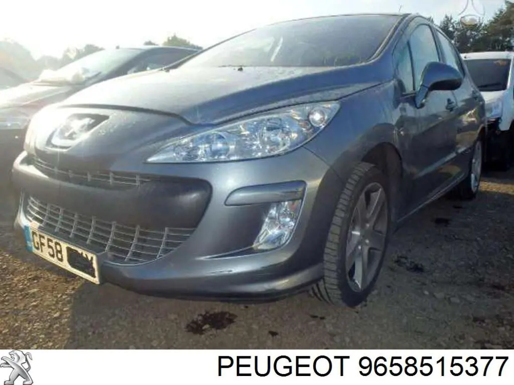 9658515377 Peugeot/Citroen 