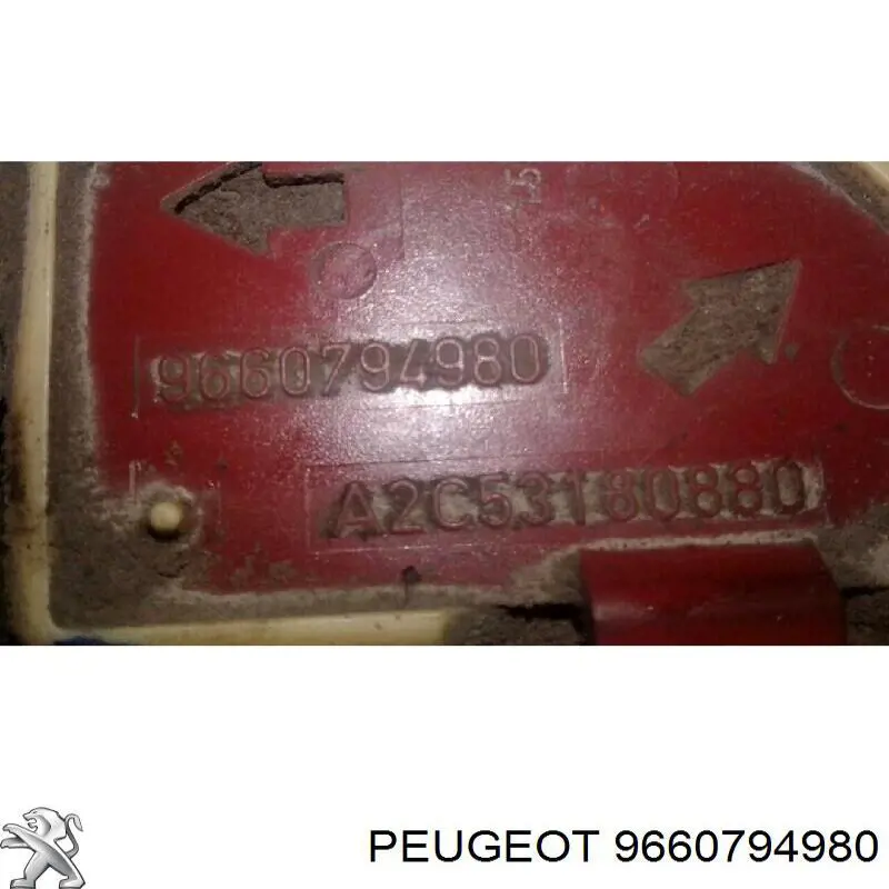 9660794980 Peugeot/Citroen 