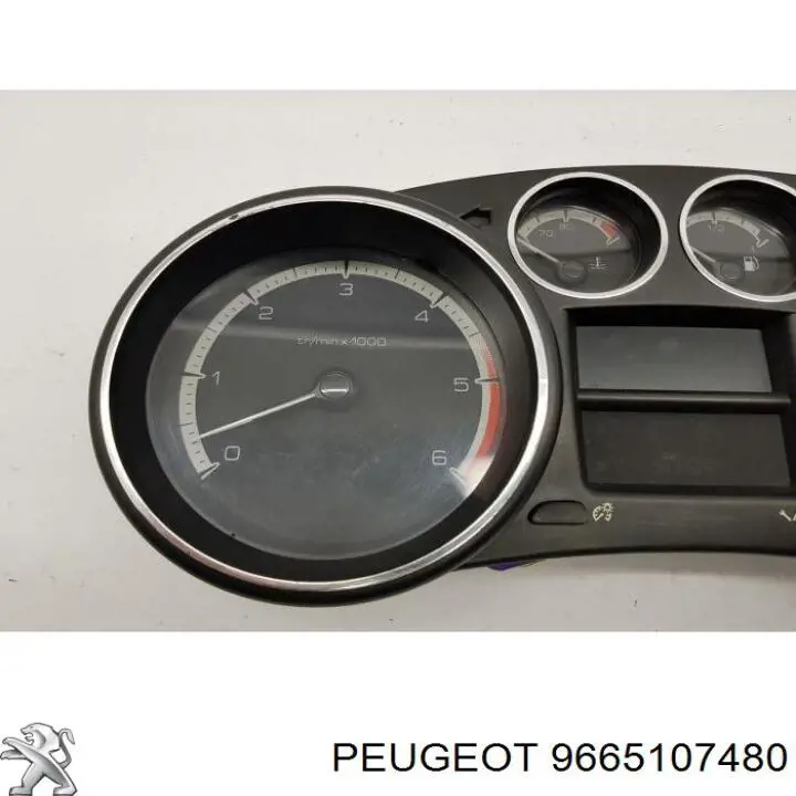 9665107480 Peugeot/Citroen 