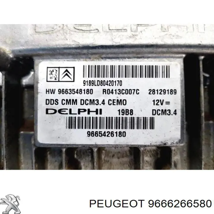 9666266580 Peugeot/Citroen 