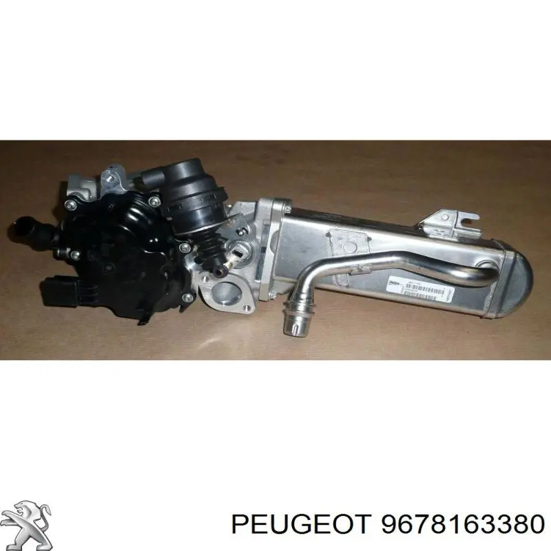 9678163380 Peugeot/Citroen 