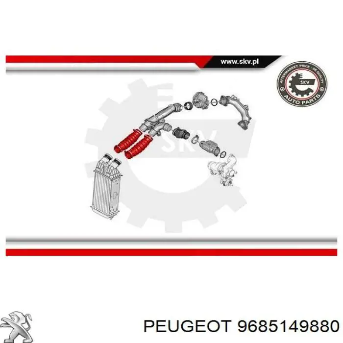 9685149880 Peugeot/Citroen tubo flexible de aire de sobrealimentación