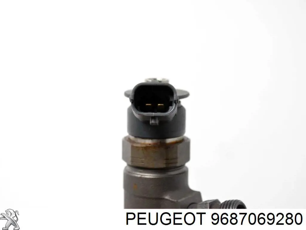 9687069280 Peugeot/Citroen inyector de combustible