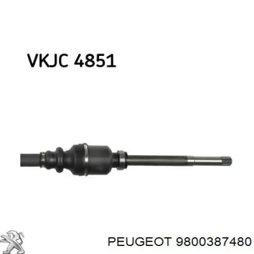 9800387480 Peugeot/Citroen árbol de transmisión delantero derecho