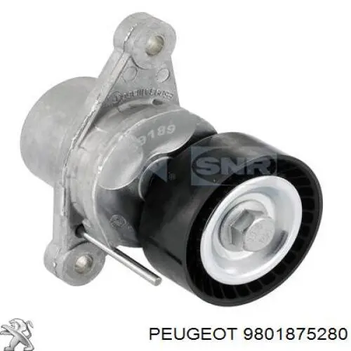 9801875280 Peugeot/Citroen tensor de correa, correa poli v