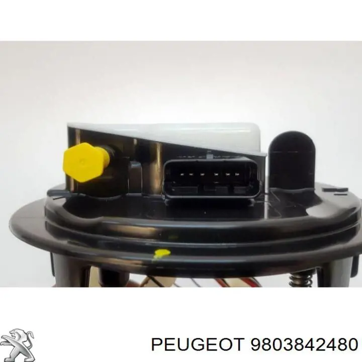 9803842480 Peugeot/Citroen módulo alimentación de combustible