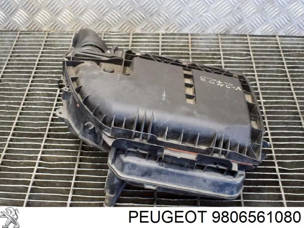 9806561080 Peugeot/Citroen casco de filtro de aire