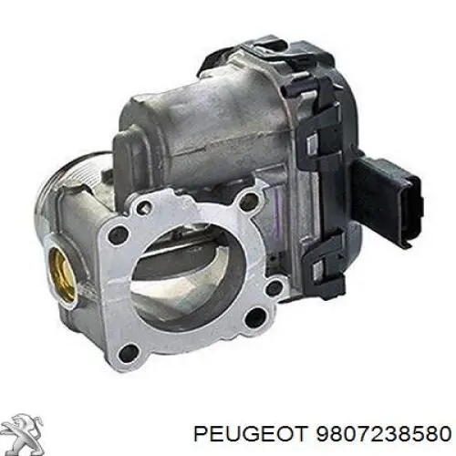 9807238580 Peugeot/Citroen cuerpo de mariposa completo