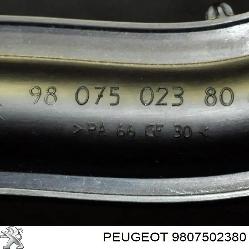 9807502380 Peugeot/Citroen 