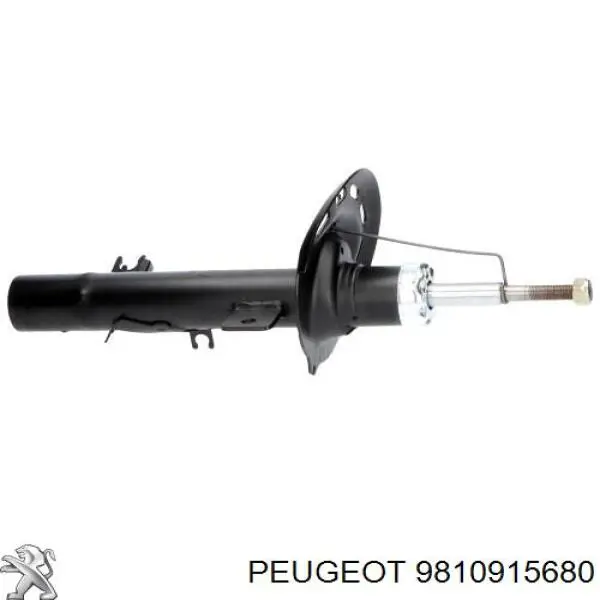 9810915680 Peugeot/Citroen 