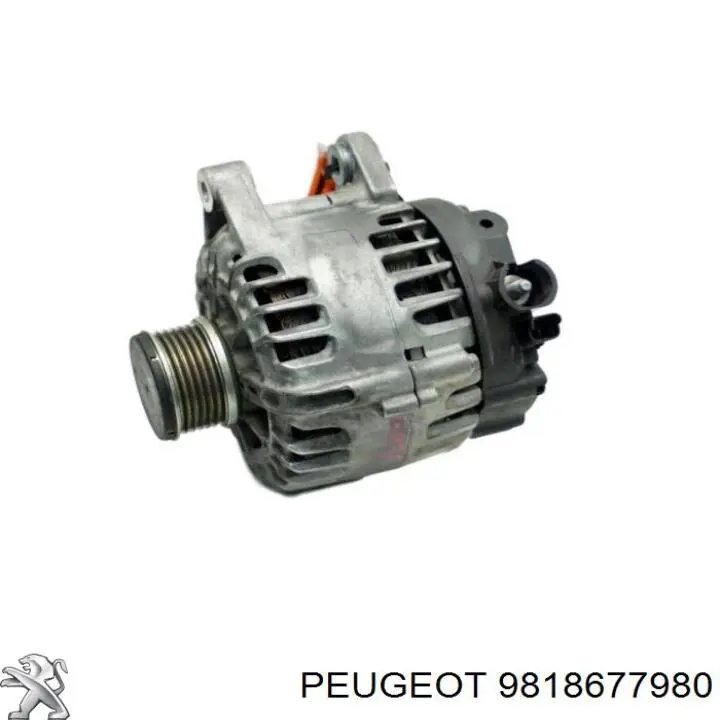 9818677980 Peugeot/Citroen alternador