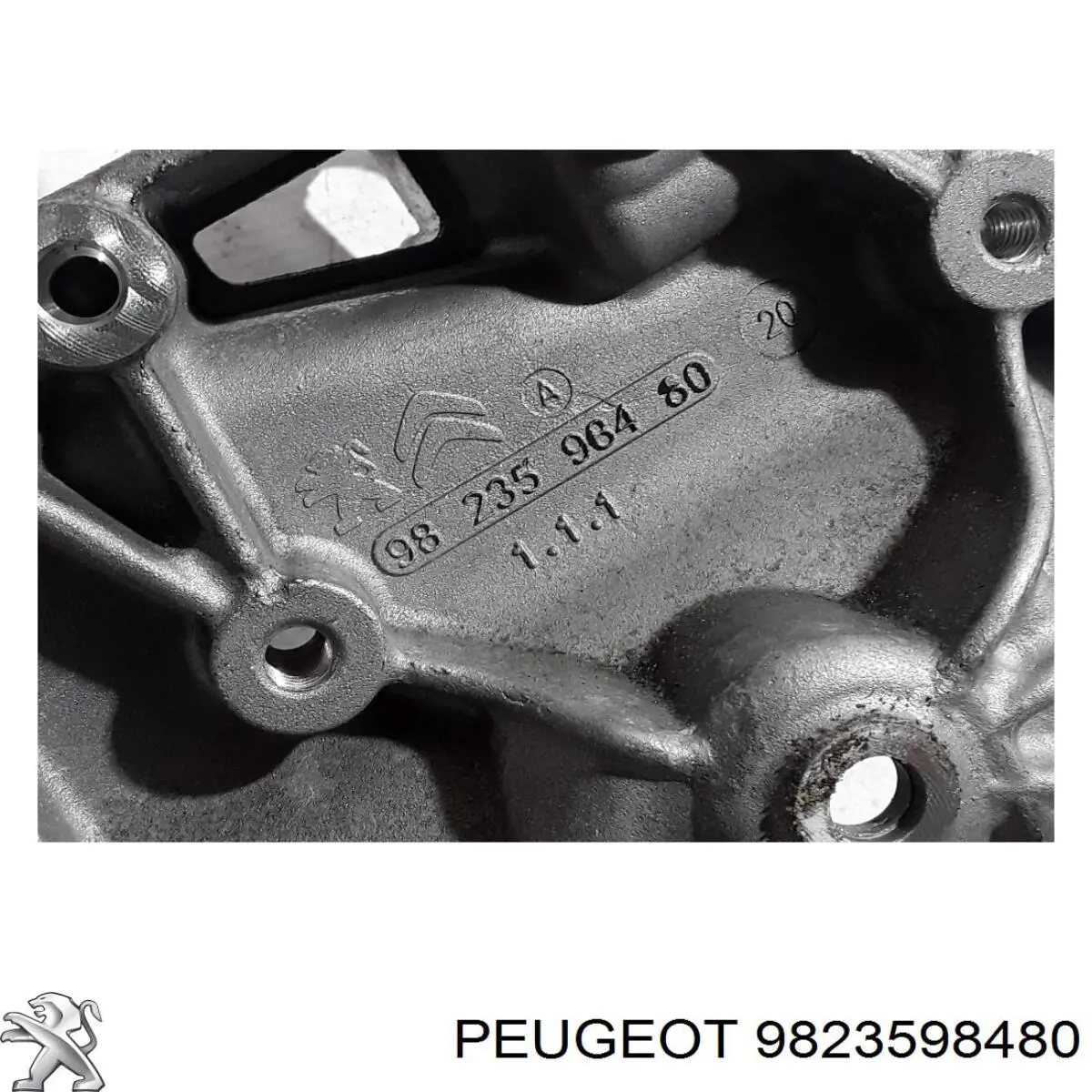 9823598480 Peugeot/Citroen 