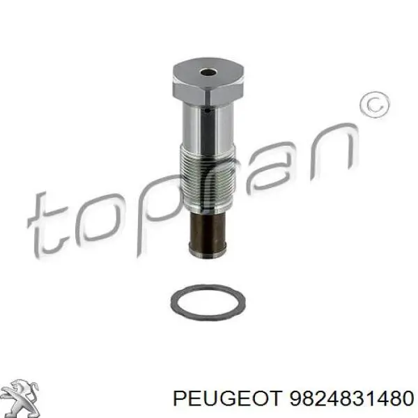 9824831480 Peugeot/Citroen tensor, cadena de distribución