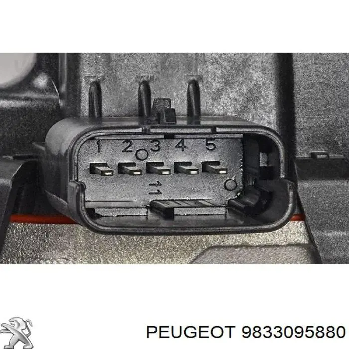 9833095880 Peugeot/Citroen válvula, agr