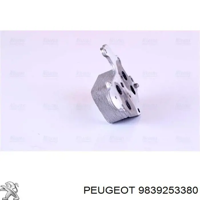 9839253380 Peugeot/Citroen 