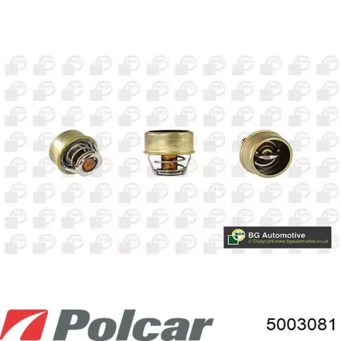 500308-1 Polcar radiador refrigeración del motor