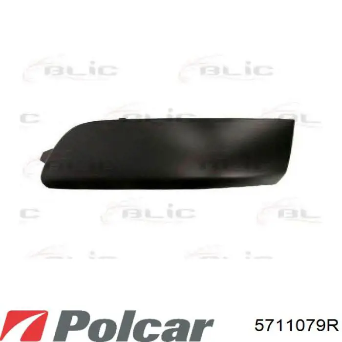  Listón embellecedor/protector, parachoques delantero para Peugeot 307 3A, 3C