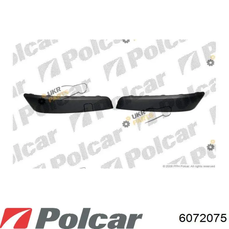  Listón embellecedor/protector, parachoques delantero para Renault Scenic 2 