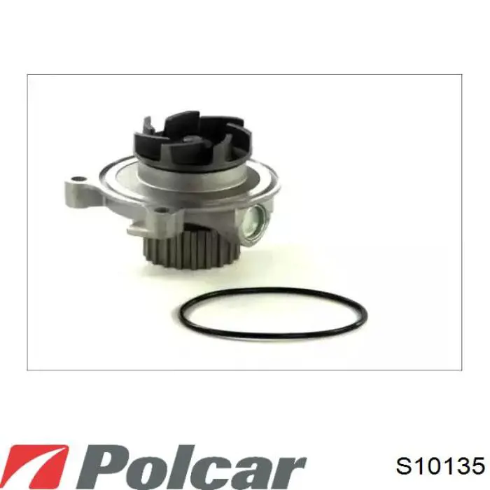 S10-135 Polcar bomba de agua