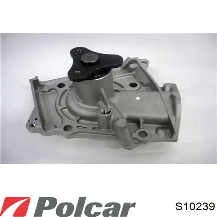 S10-239 Polcar bomba de agua